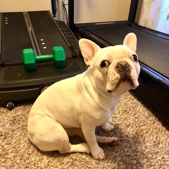 Meet your Posher, Rocio - Picture 2 of 3